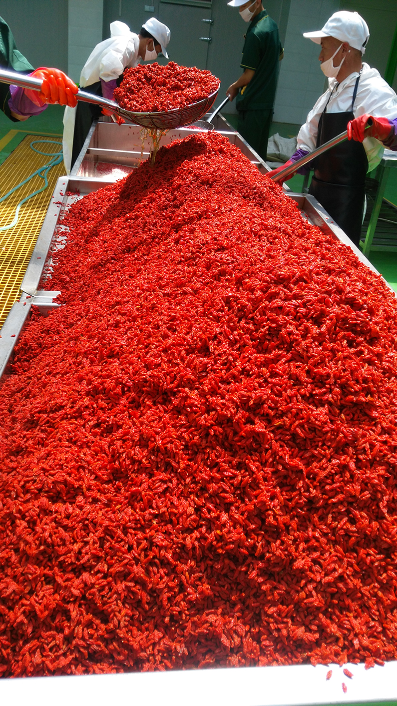 銀川伊百盛生物工程有限公司 銀川伊百盛生物工程有限公司