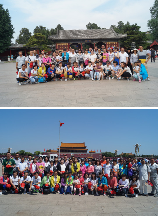 銀川伊百盛生物工程有限公司 銀川伊百盛生物工程有限公司