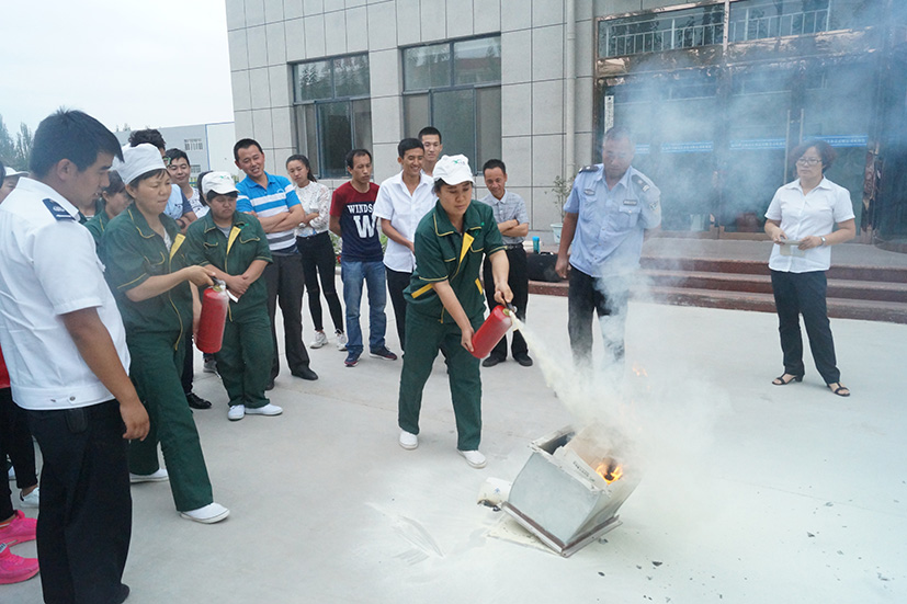 銀川伊百盛生物工程有限公司 銀川伊百盛生物工程有限公司
