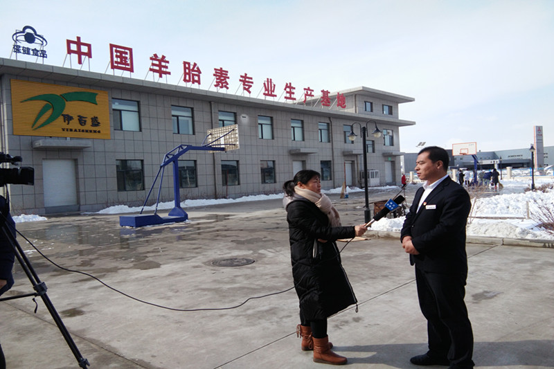 銀川伊百盛生物工程有限公司 銀川伊百盛生物工程有限公司