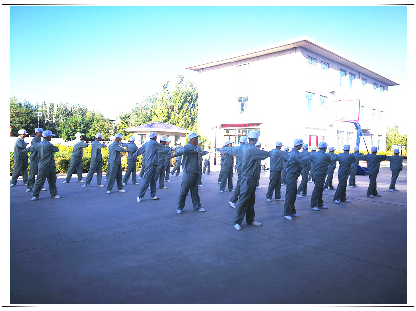 銀川伊百盛生物工程有限公司 銀川伊百盛生物工程有限公司