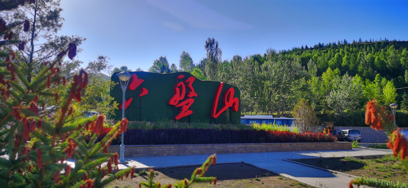 銀川伊百盛生物工程有限公司 銀川伊百盛生物工程有限公司