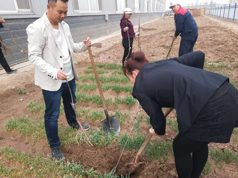 銀川伊百盛生物工程有限公司 銀川伊百盛生物工程有限公司