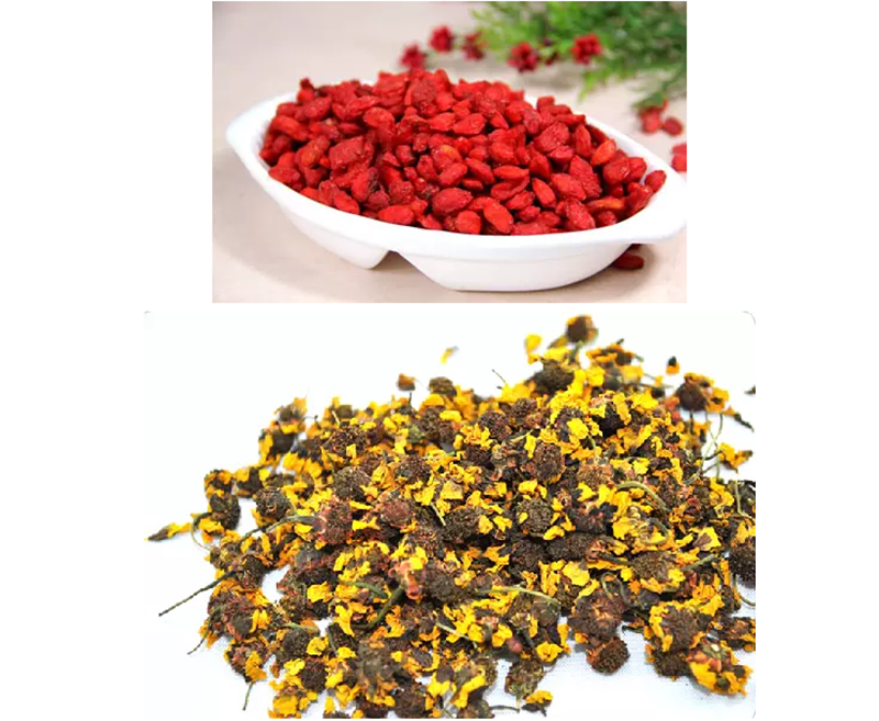 銀川伊百盛生物工程有限公司 銀川伊百盛生物工程有限公司