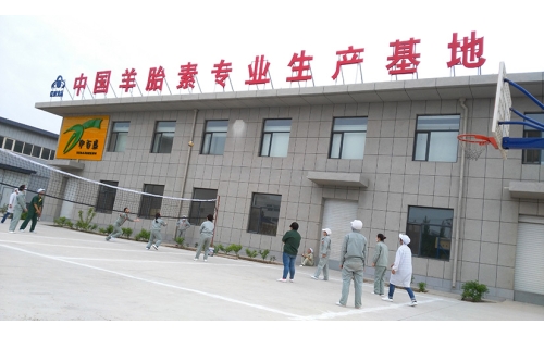 團結(jié)合作，快樂迎五一