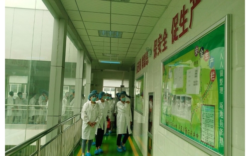 值公司成立十周年慶典，公司贊助萬名老人免費(fèi)游寧夏系列活動(dòng)