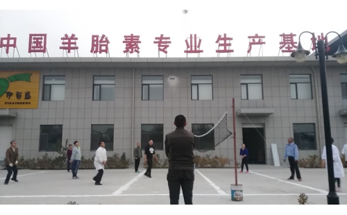 排球傳溫情，員工齊聚心