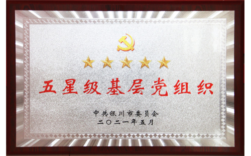 喜報(bào)！伊百盛黨支部榮獲“五星級(jí)基層黨組織”稱號(hào)