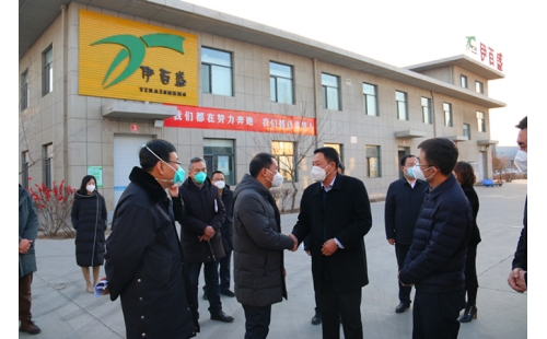 銀川市金鳳區(qū)委書記郝春明、區(qū)長張濤一行蒞臨銀川伊百盛參觀調(diào)研