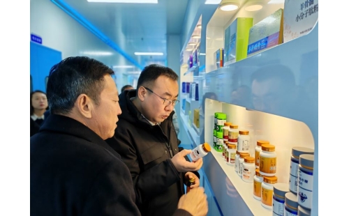 金鳳區(qū)常委、組織部長(zhǎng)杜鈞，副區(qū)長(zhǎng)、公安局長(zhǎng)王占東一行蒞臨企業(yè)參觀調(diào)研