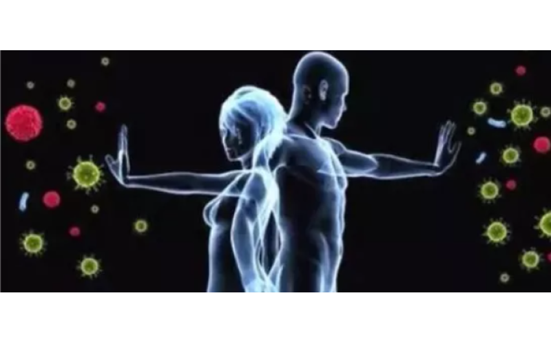 為什么補的是肽而不是氨基酸？