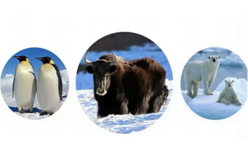 牦?！咴?>
								</div>
															
							<div   id=